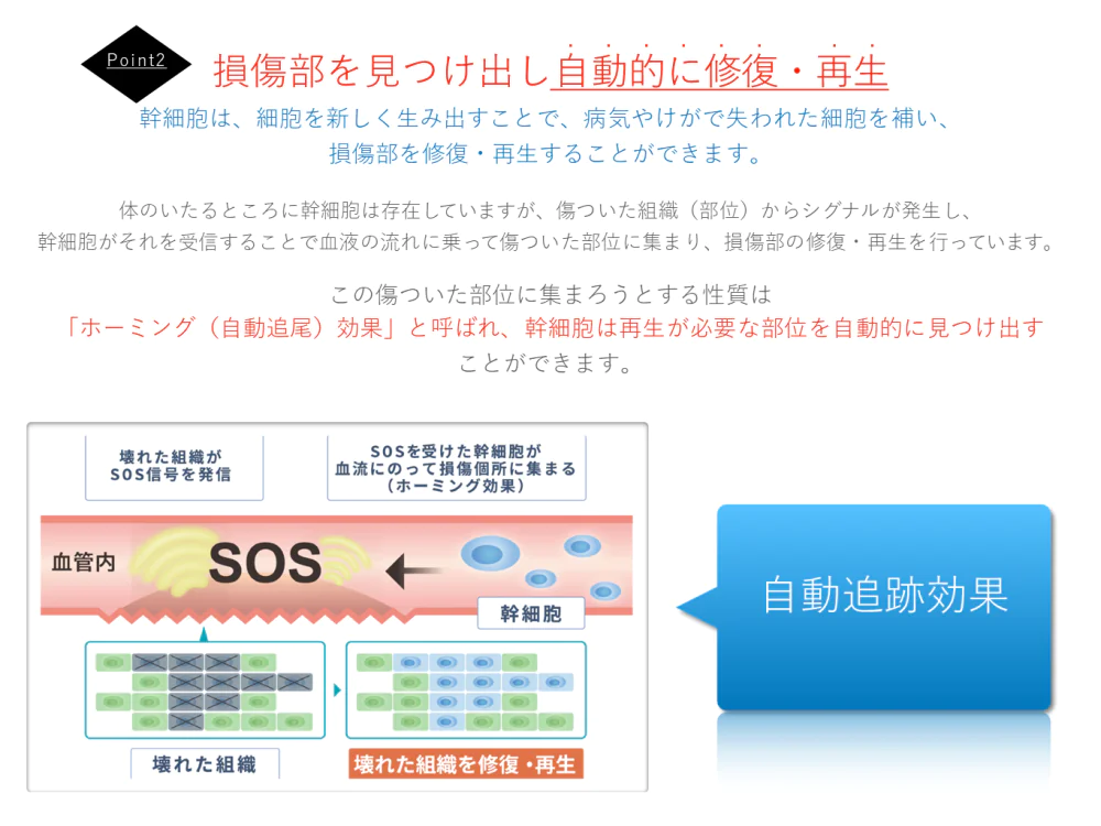 幹細胞治療スライド5