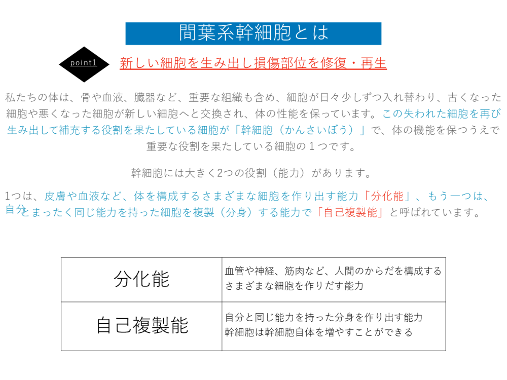 幹細胞治療スライド3