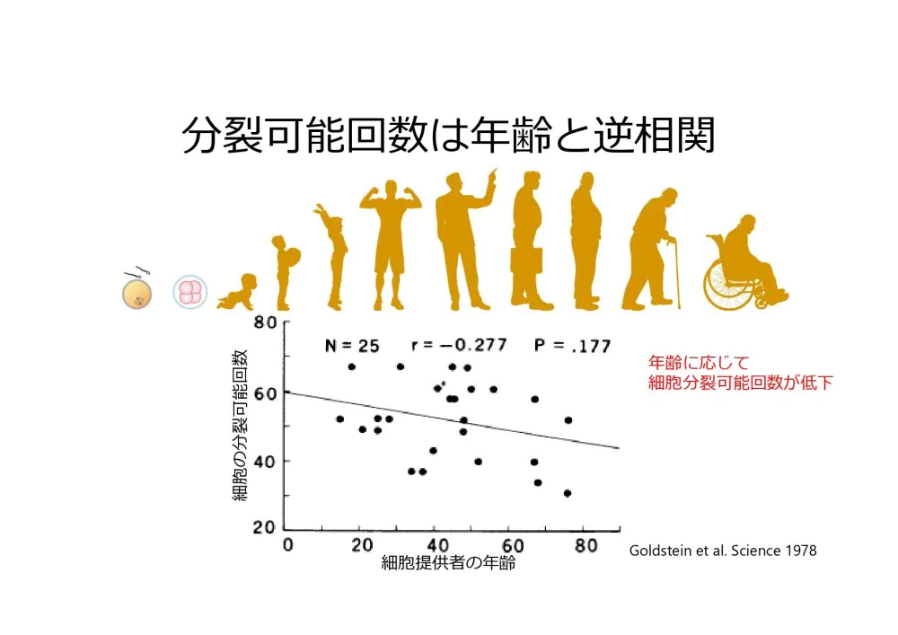 細胞老化とがん